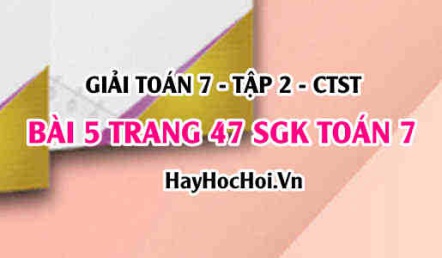 Giải bài 5 trang 47 Toán 7 tập 2 SGK Chân trời sáng tạo